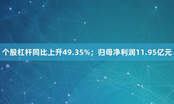 个股杠杆同比上升49.35%；归母净利润11.95亿元